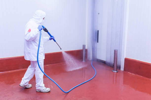 Best Sidewalk and Walkway Pressure Cleaning in Luling, TX