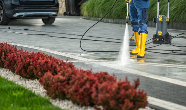 Best Soft Washing for Delicate Surfaces in Luling, TX